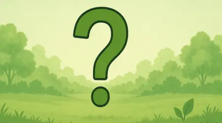 form.product_recommendation.environment.other_environment