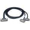 Câble, SCSI-100 to 2*SCSI-68 Ribbon-Type Câble, 1m