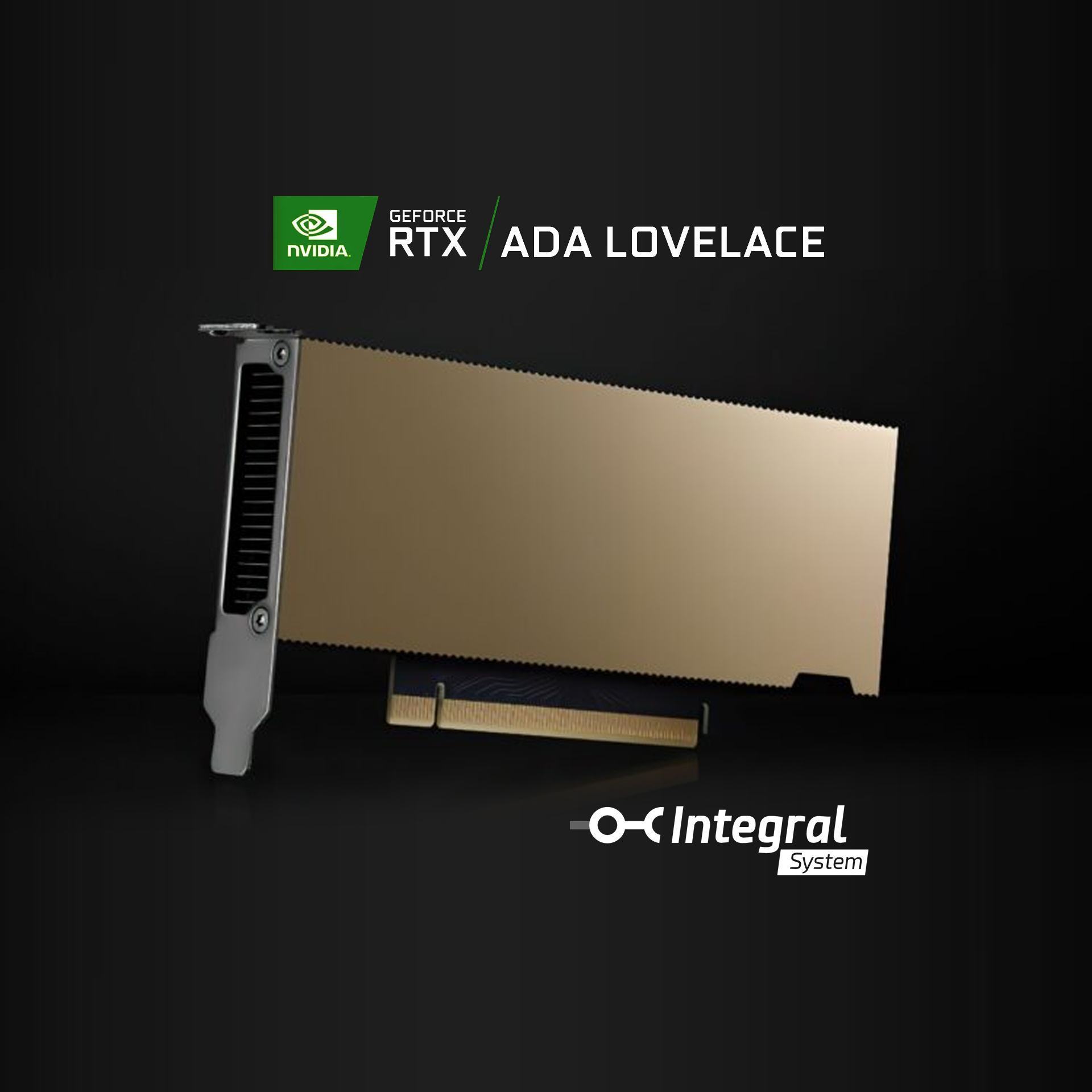 NVIDIA L4-Img