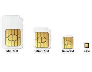 Format de carte SIM
